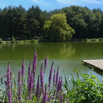 Photo d'un lac avec un ponton