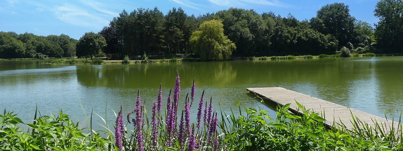 Photo d'un lac avec un ponton