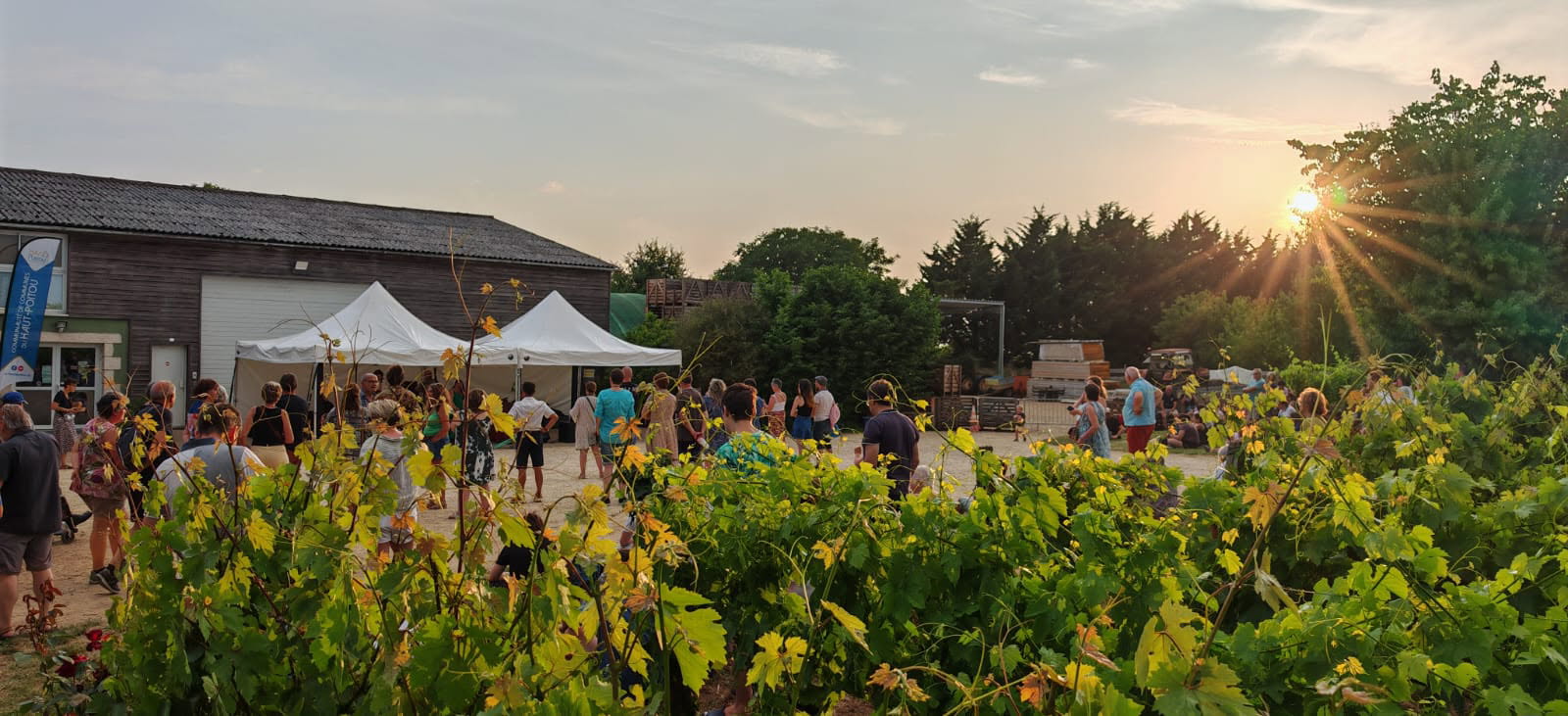soirée estivale en haut-poitou