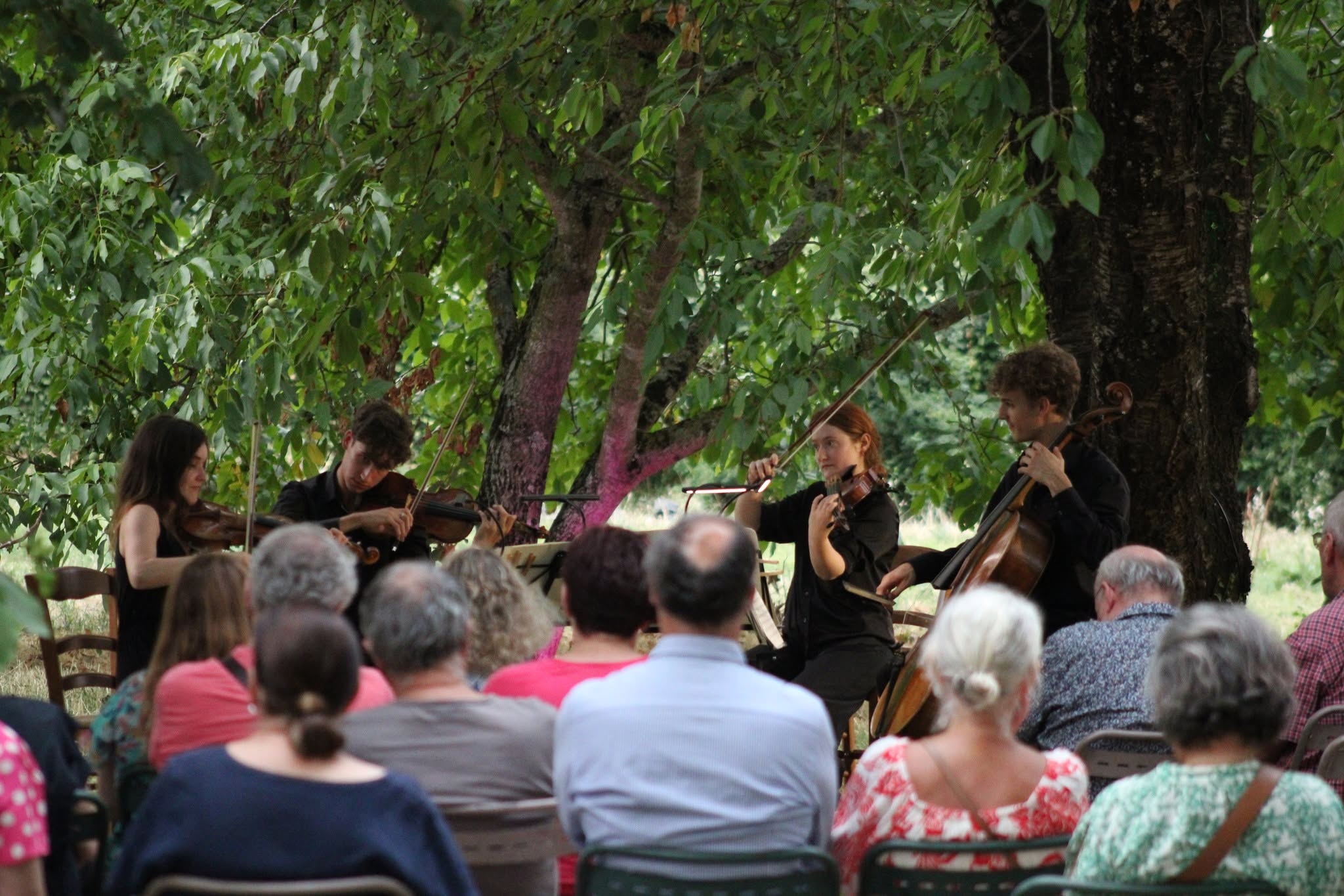 photos festival concerts en nos villages