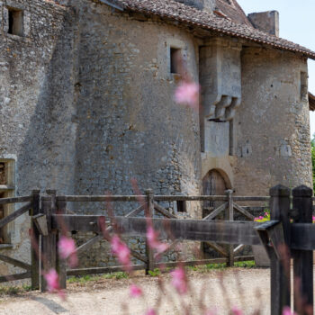 chateau chiré en montreuil